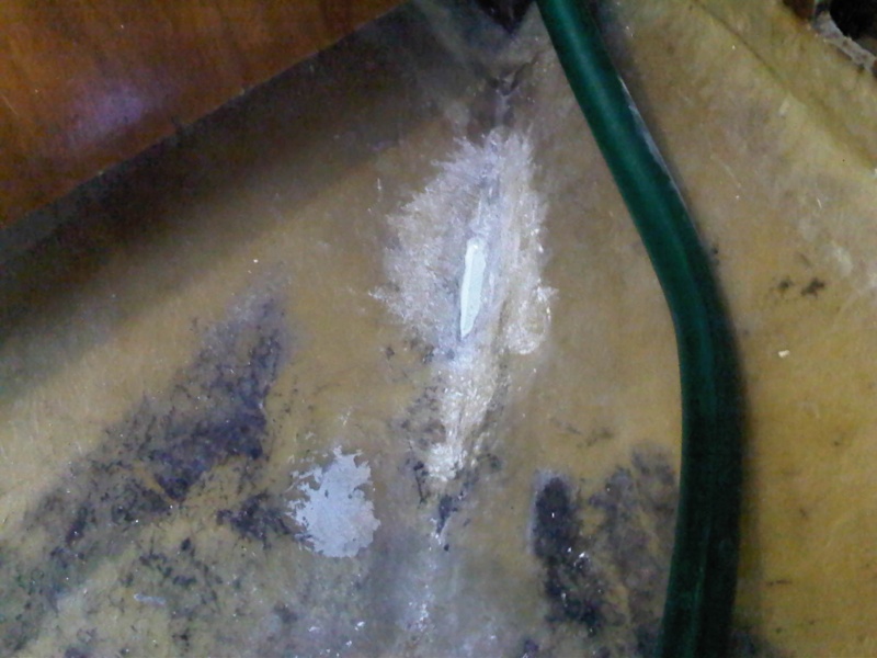 IMG00107 20111119 1613 800