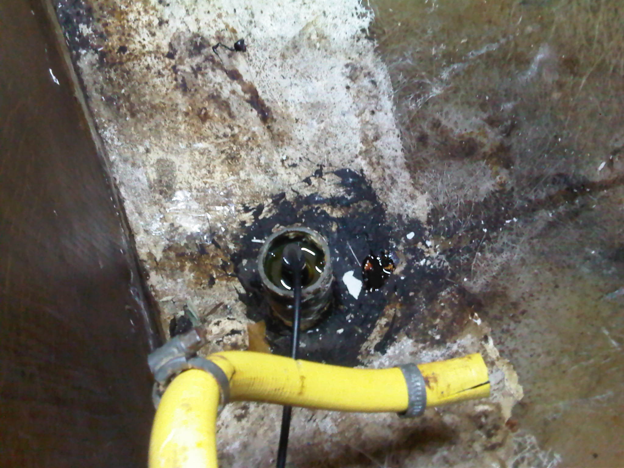 IMG00114 20111119 1616